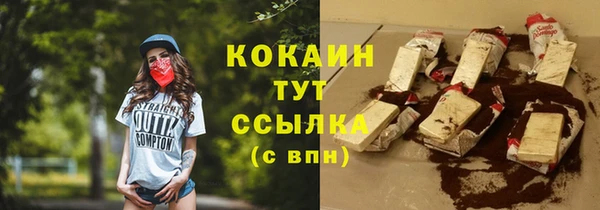 стаф Алексин