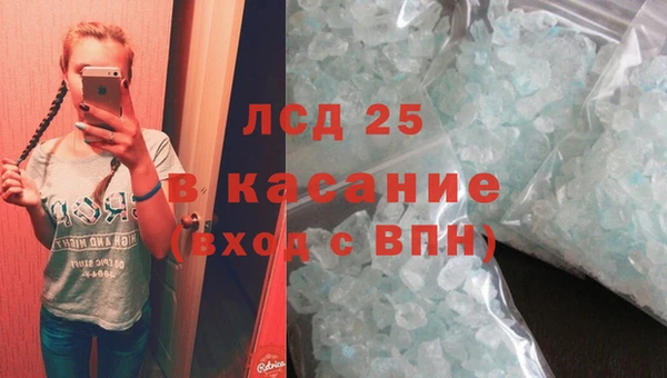 стаф Алексин