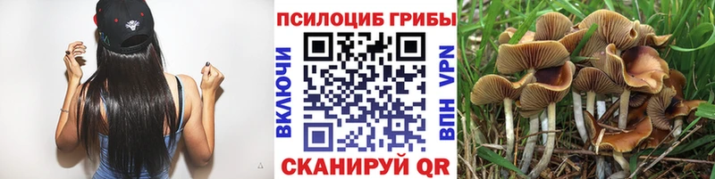 Псилоцибиновые грибы MAGIC MUSHROOMS Алушта